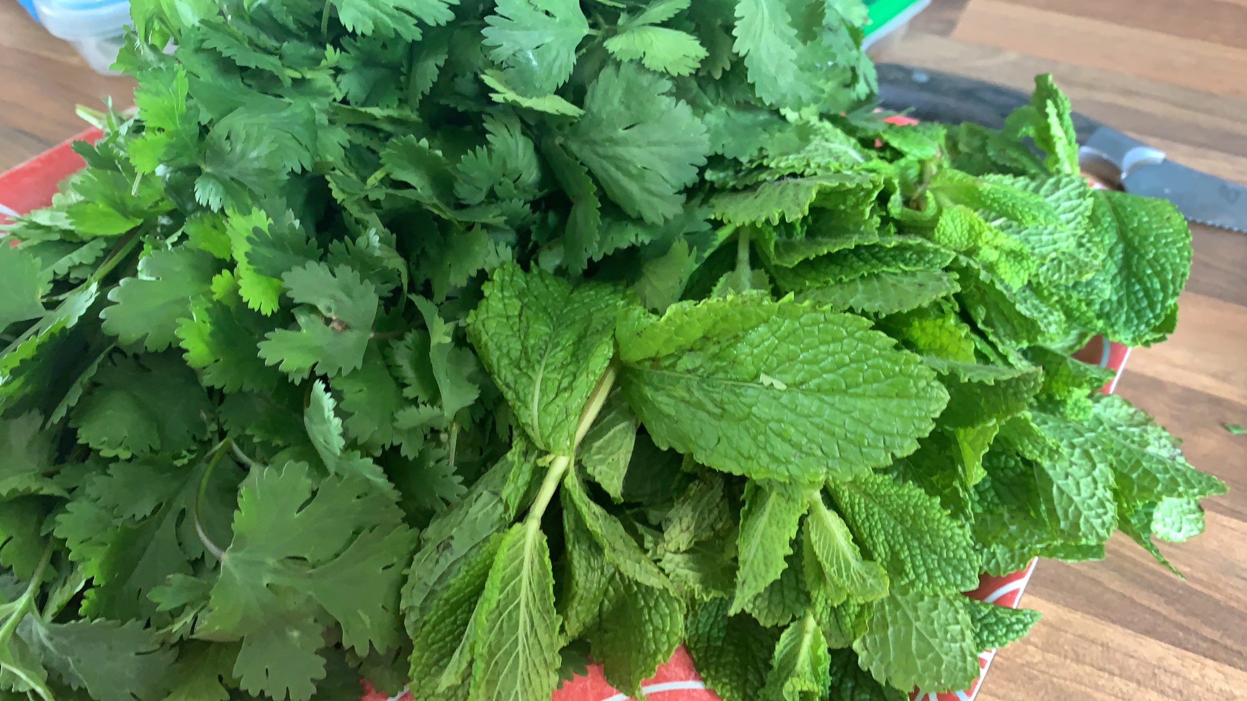 Mint Coriander Chutney/Green Chutney