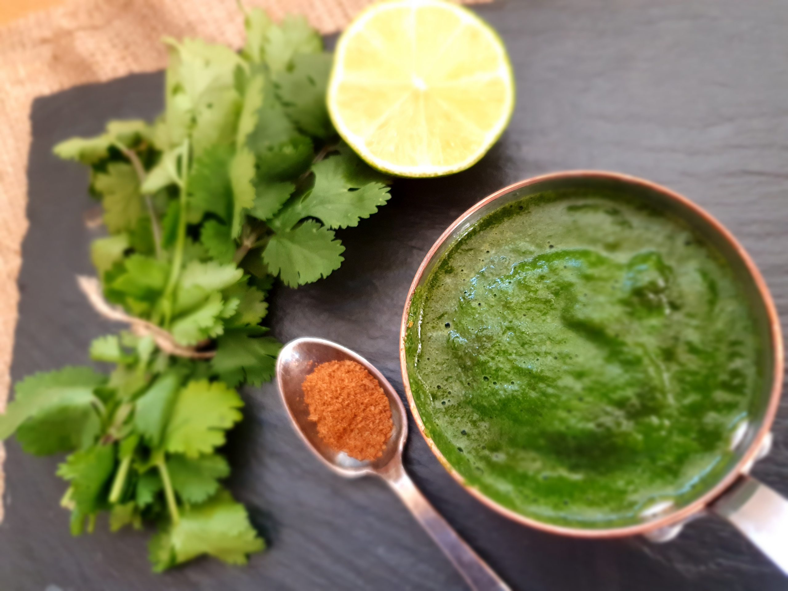 Mint Coriander Chutney/Green Chutney Foodie Trail
