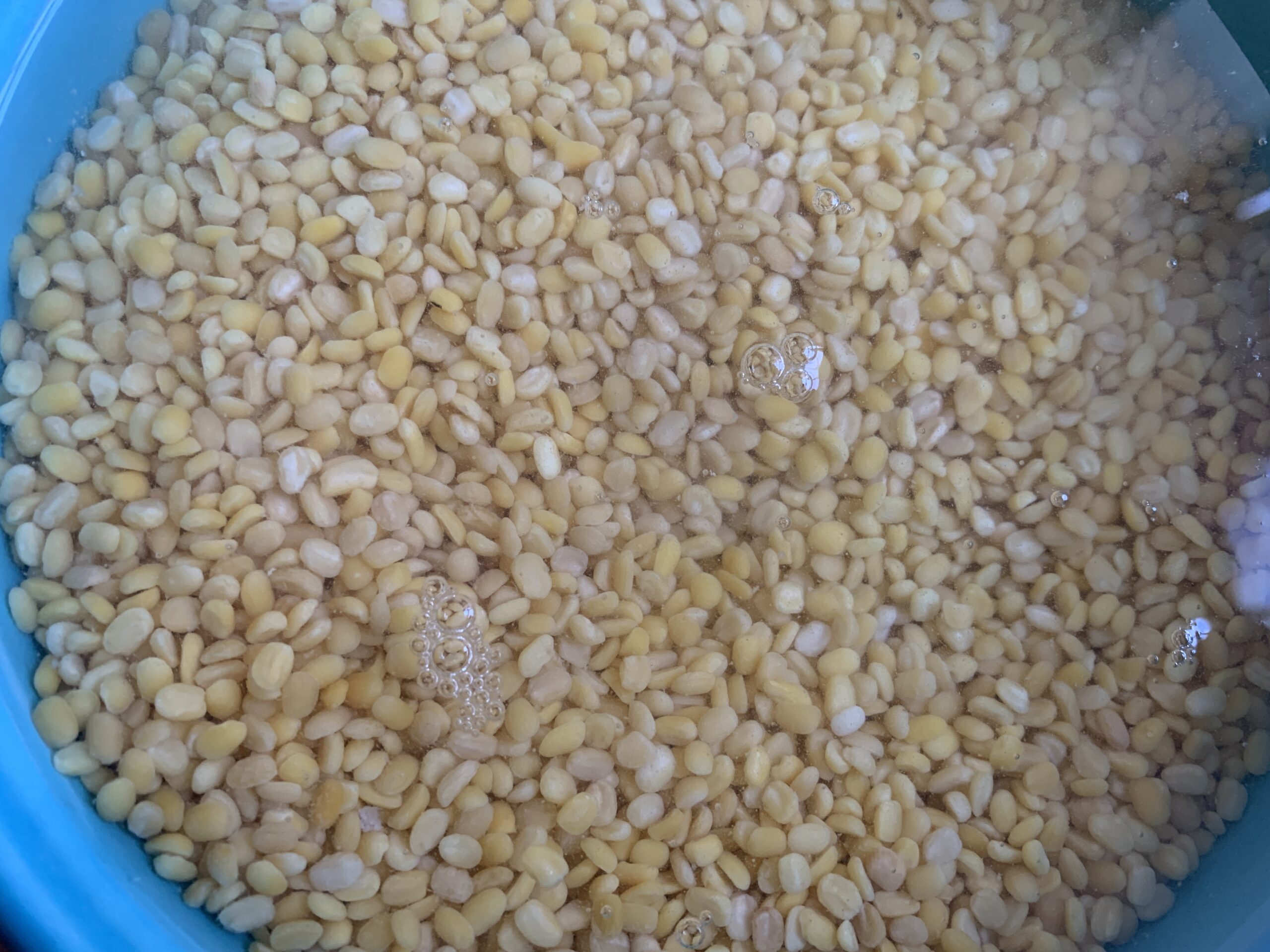 Moong Dal Halwa