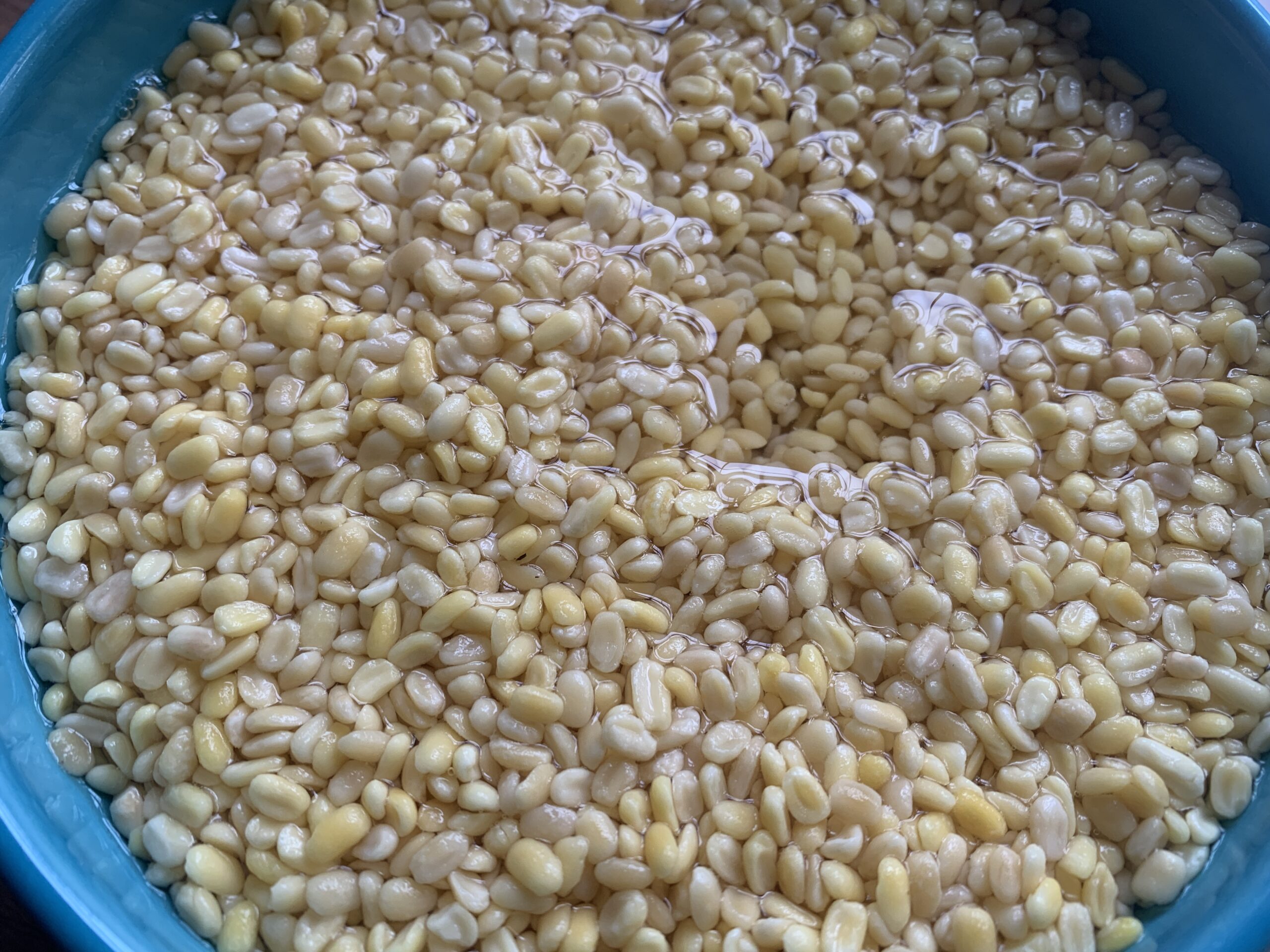 Moong Dal Halwa