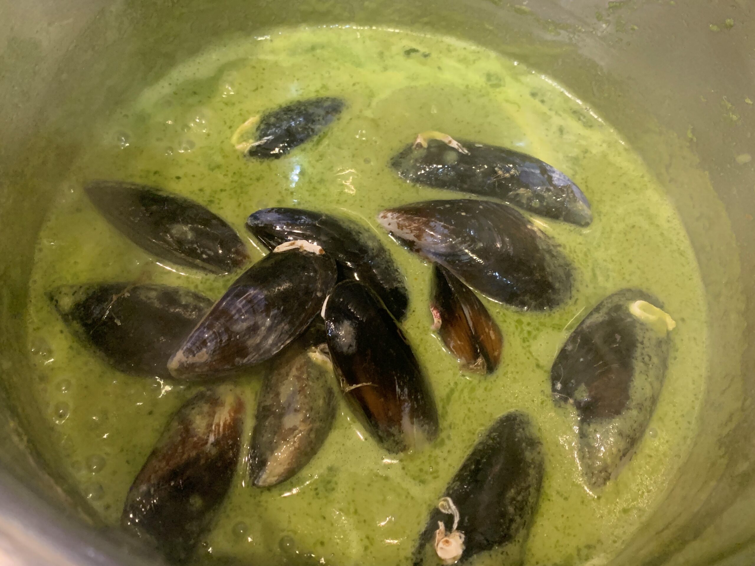 Thai Coconut Mussels Recipe