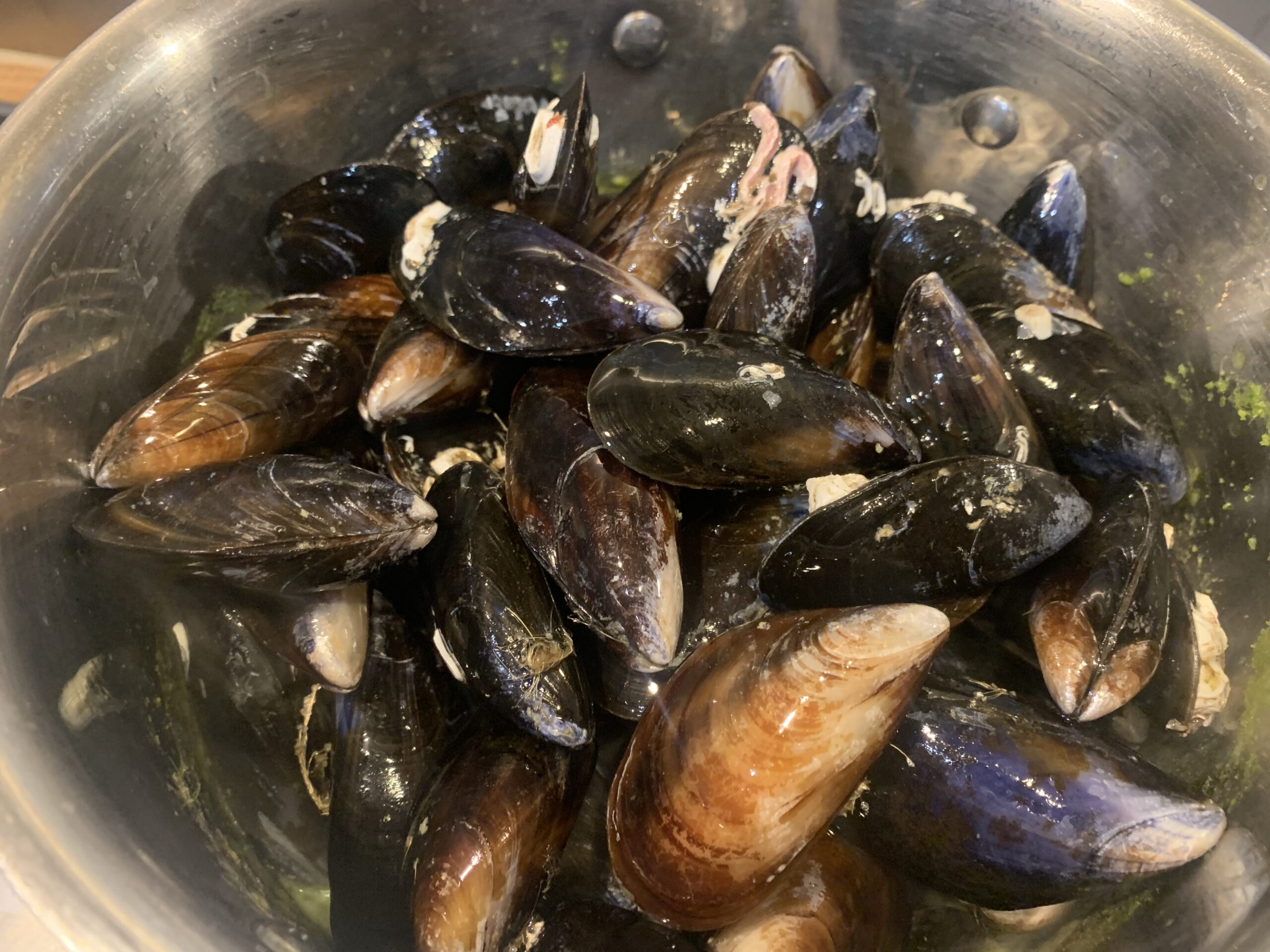 Thai Coconut Mussels Recipe