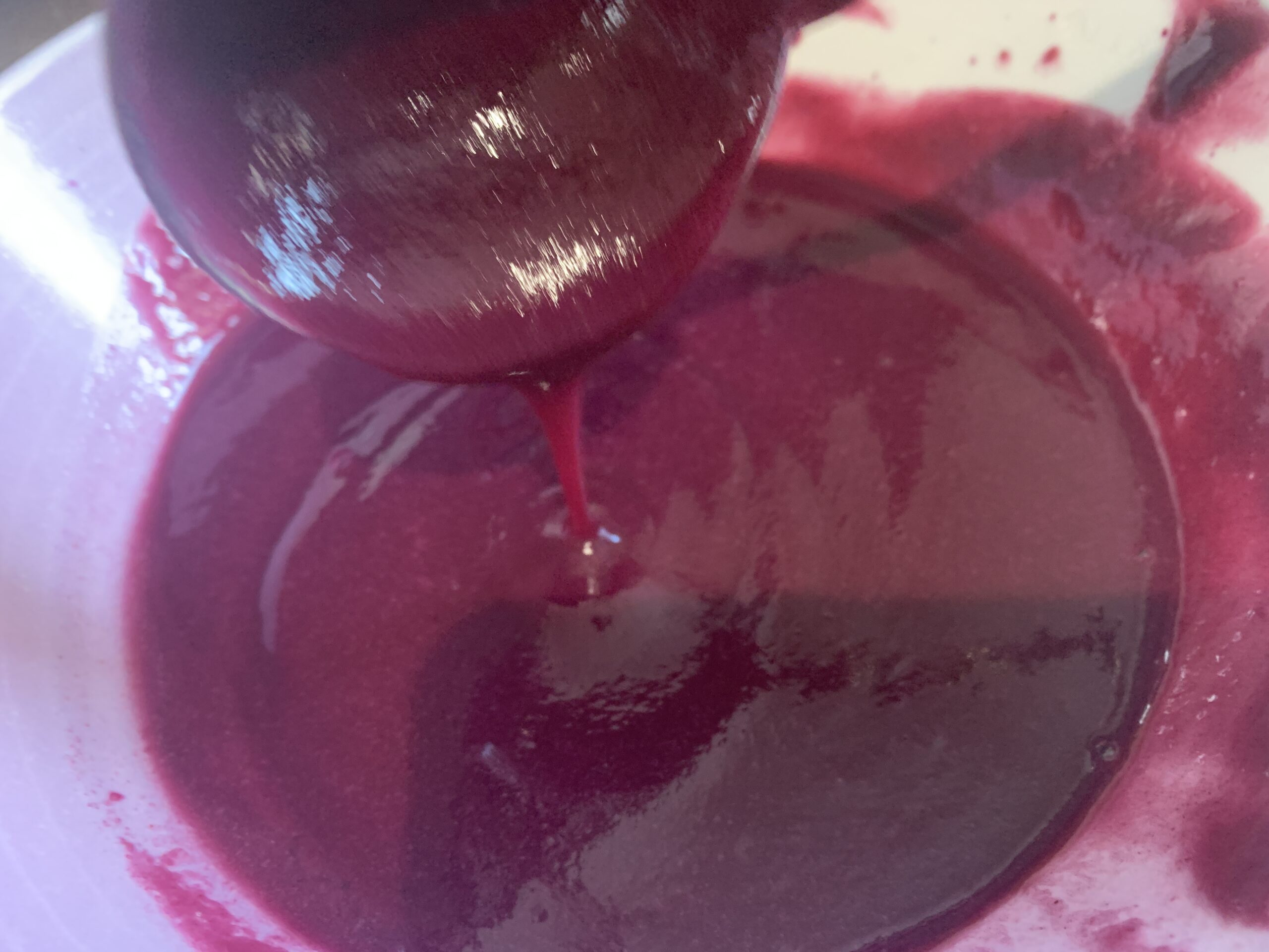 Black Plum Sorbet Recipe