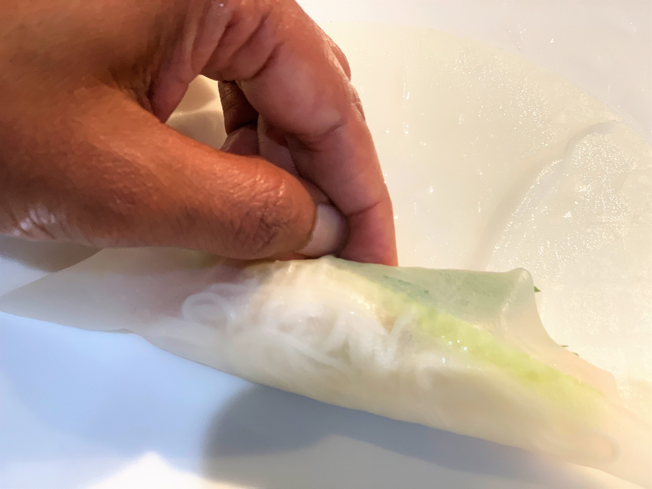 Vietnamese Spring Roll Recipe / Goi Cuon