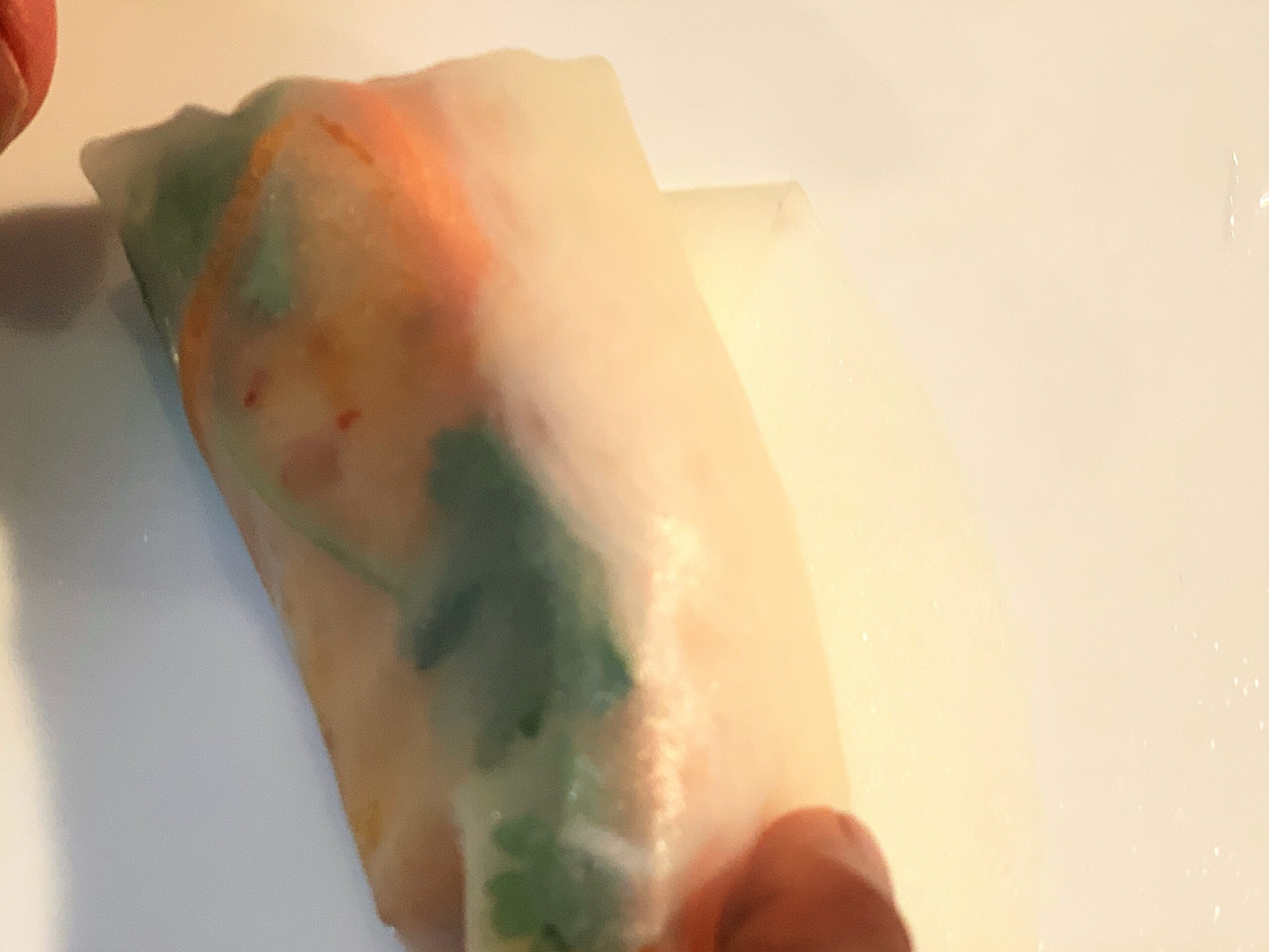 Vietnamese Spring Roll Recipe / Goi Cuon