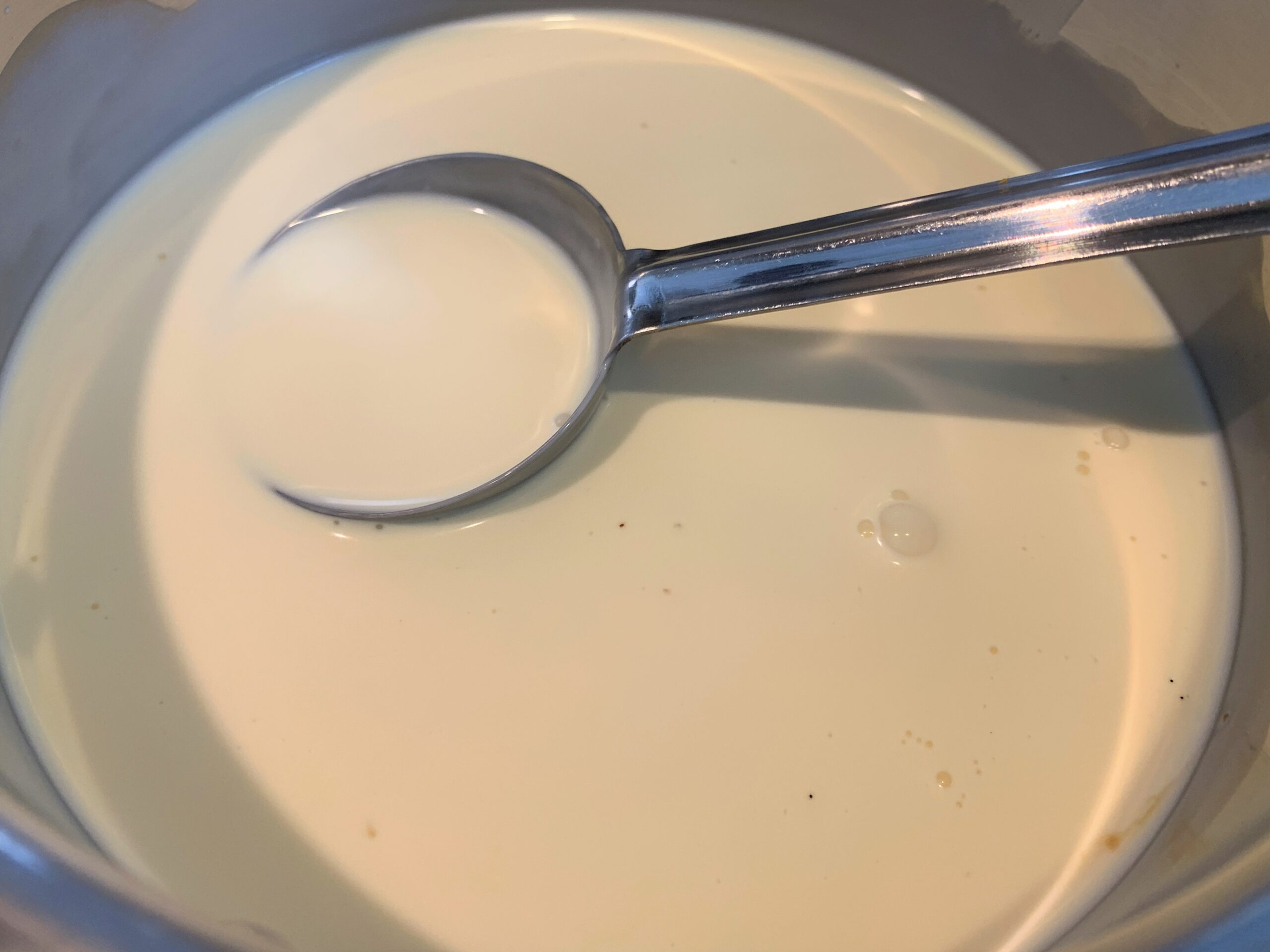 Vanilla Panna Cotta Recipe