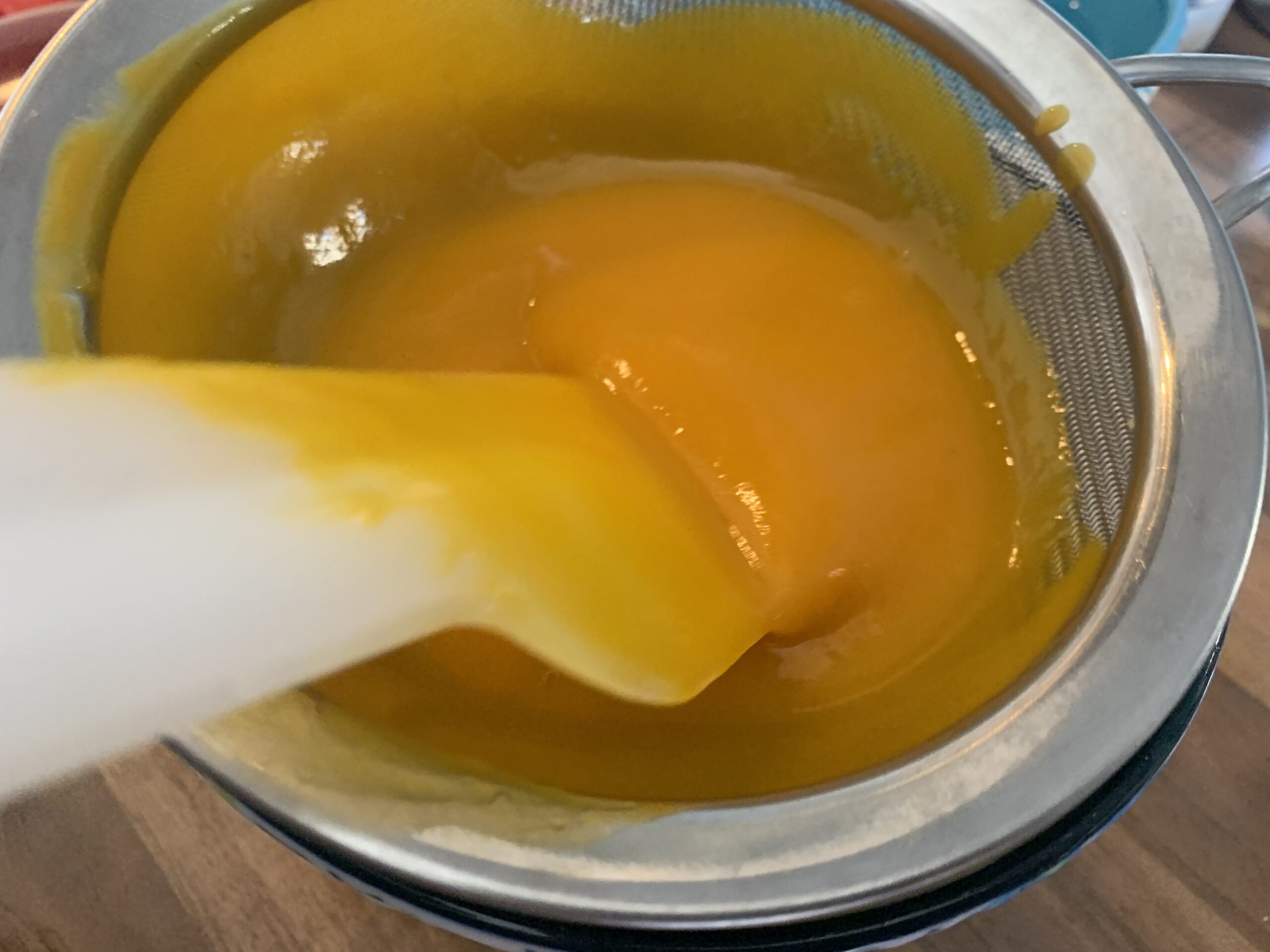 Mango Panna Cotta Recipe