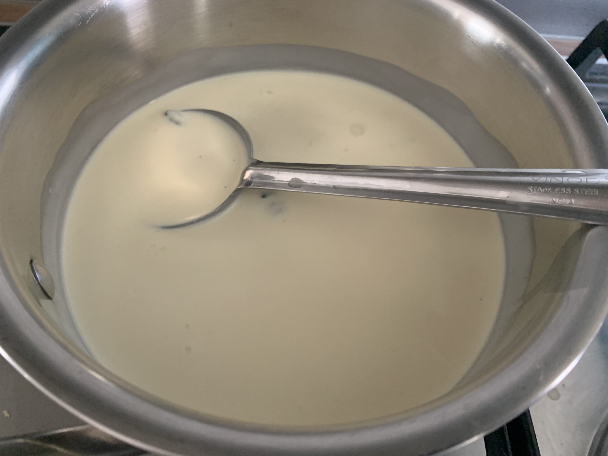 Mango Panna Cotta Recipe