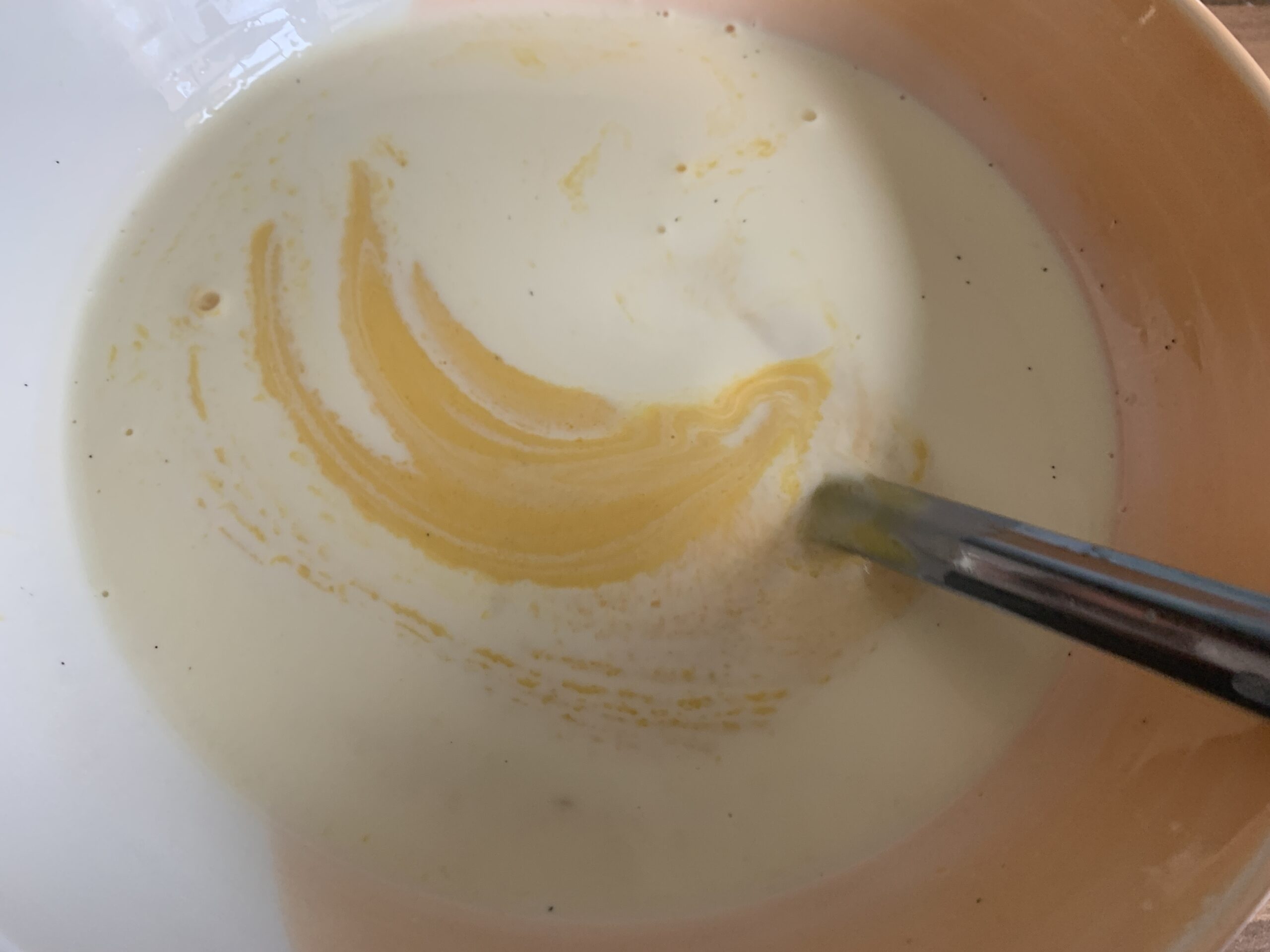 Mango Panna Cotta Recipe