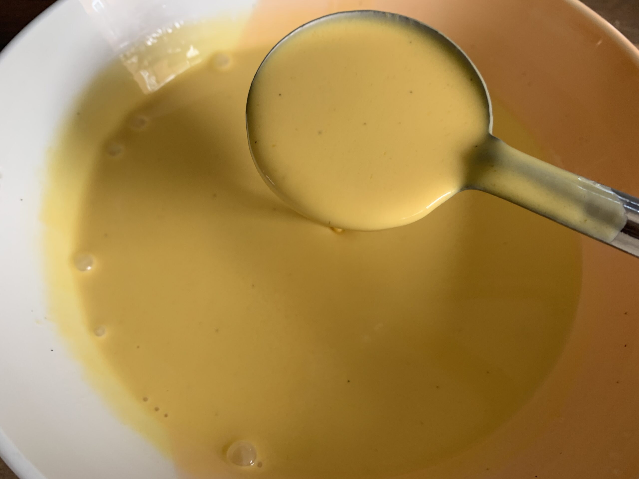 Mango Panna Cotta Recipe