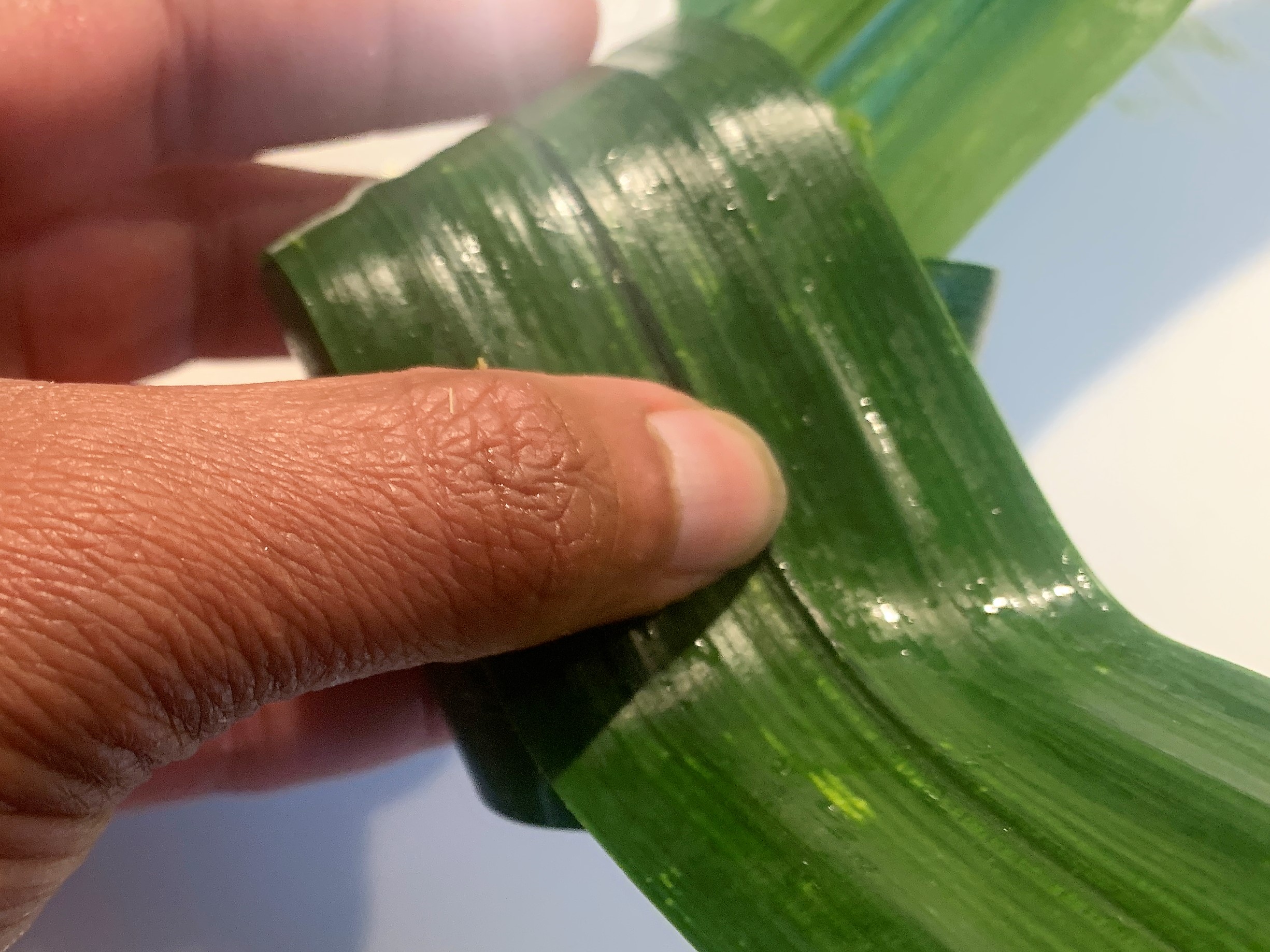 Thai Cod in Pandan Leaves Recipe