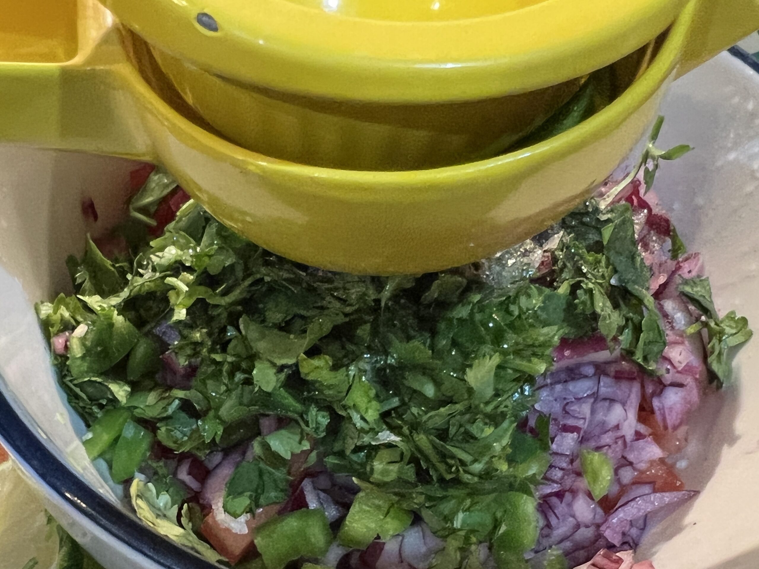 Homemade Pico de Gallo Recipe (Fresh Tomato Salsa)