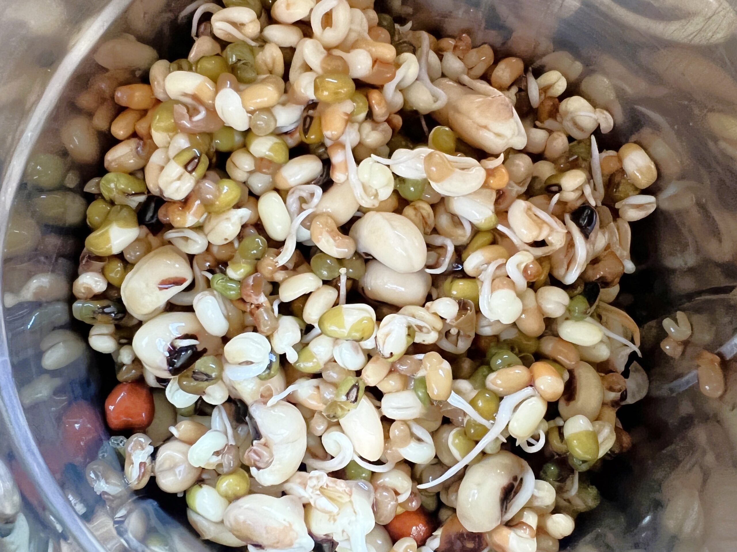 Sprouted Beans and Lentils Chilla Recipe