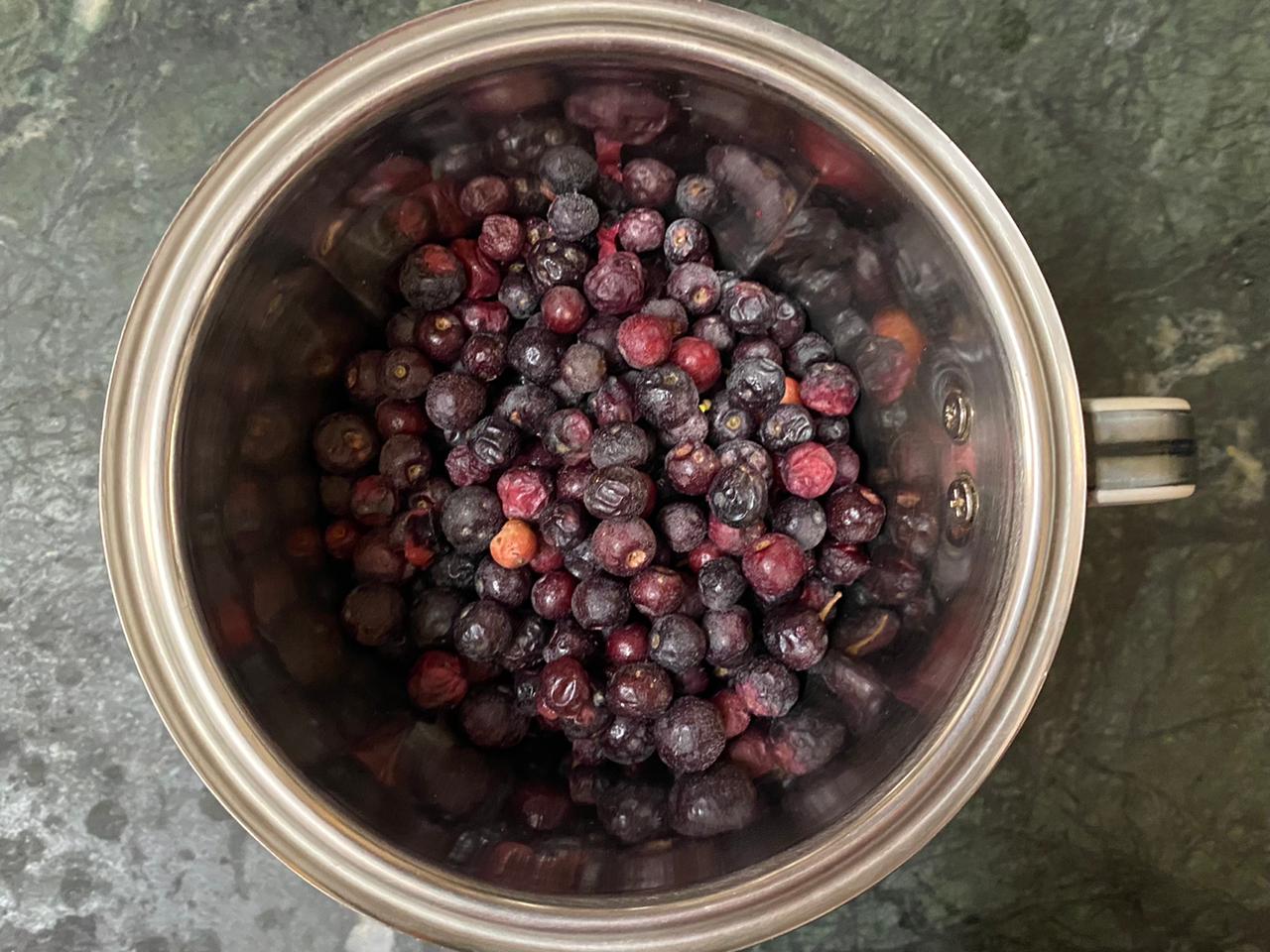 Phalsa Juice Recipe (Indian Sherbet Berry)