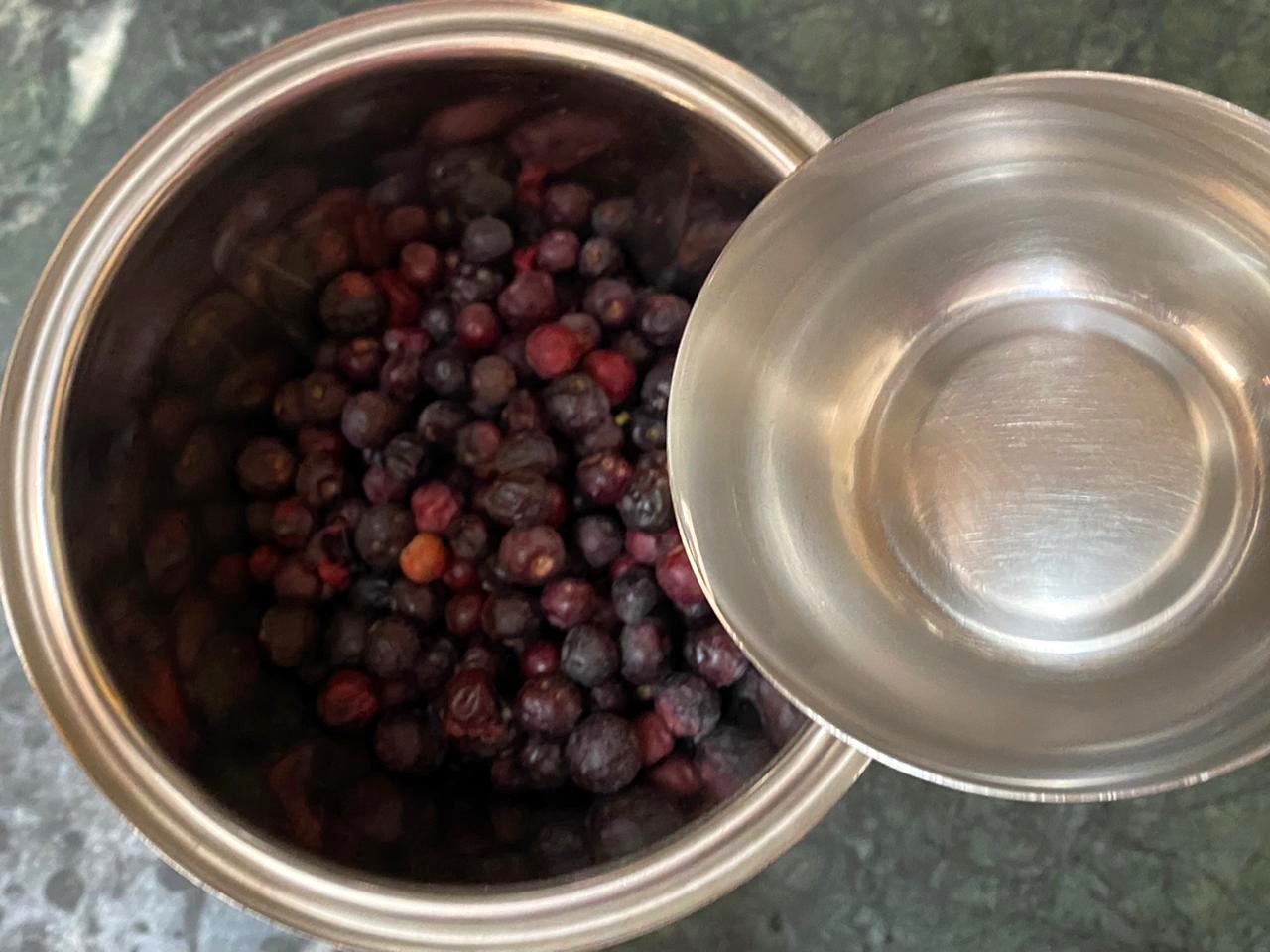 Phalsa Juice Recipe (Indian Sherbet Berry)