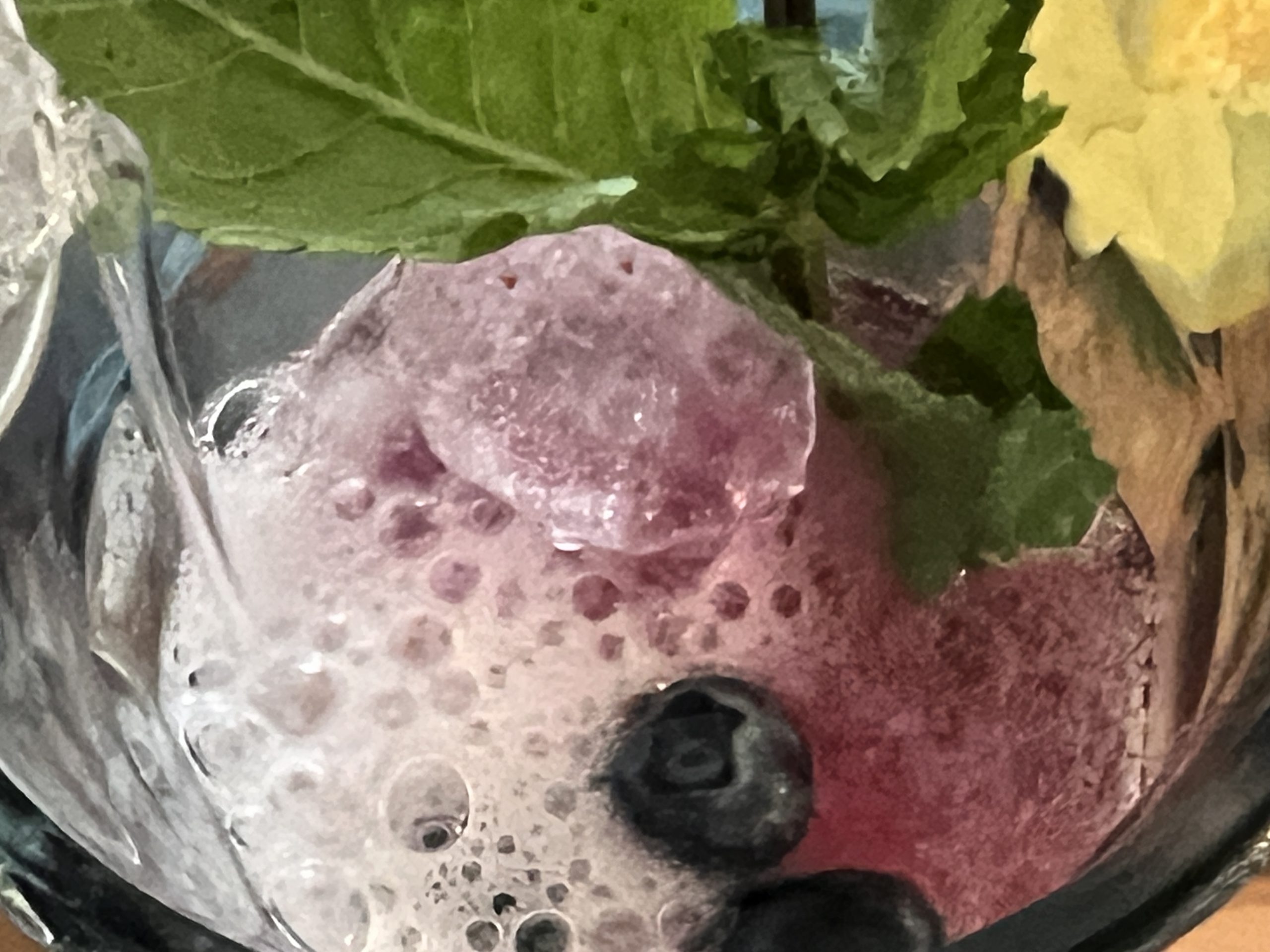 Blueberry Mojito Recipe